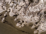 Dune camarguaise inondee