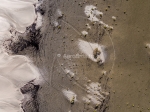 Dune inondee en camargue